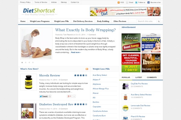 Daily theme site design template sample