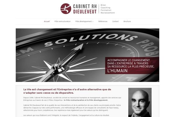 Minamaze (Pro) theme site design template sample