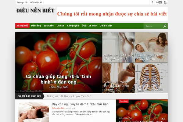 dnb theme websites examples