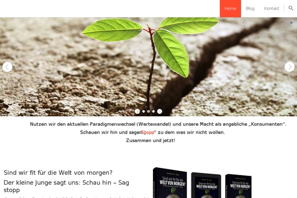 dieweltvonmorgen.com site used Bj
