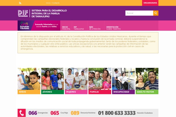 New theme site design template sample