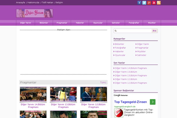 DigerYarim theme websites examples