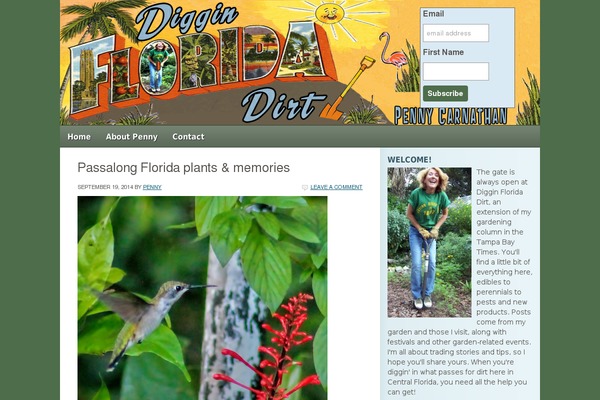 Social Eyes theme site design template sample