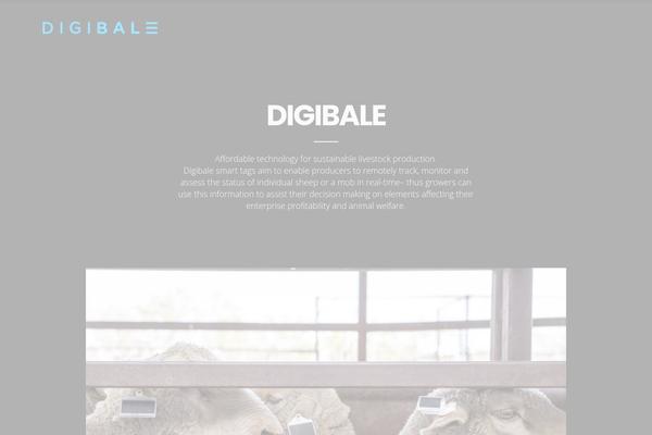 Intact theme site design template sample