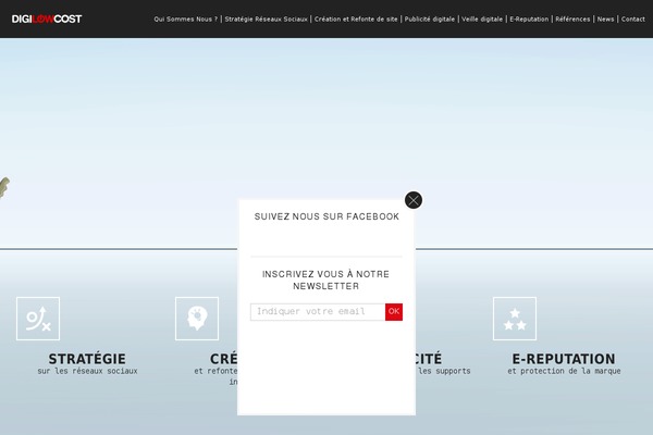 digilowcost.com site used Bigsuccess-v2