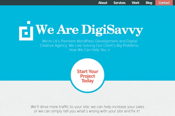 Site using Searchwp plugin