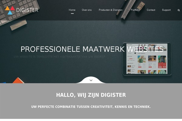 Nany theme site design template sample