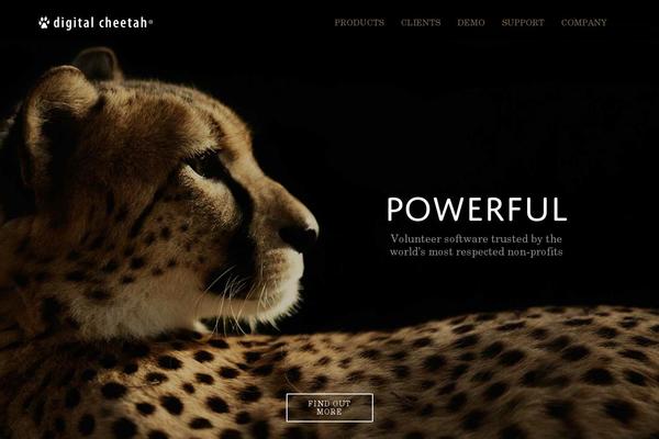 Dc-global theme site design template sample
