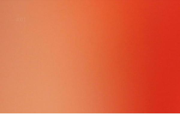 North theme site design template sample