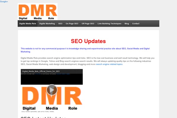 digitalmediarole.com site used Childthemeforcustomizr