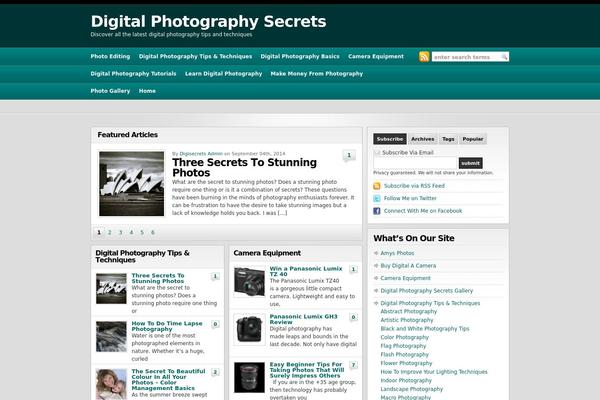 Wp-prolific theme site design template sample