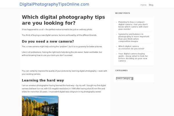 Focusblog theme site design template sample