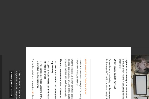 digitalmarketingskills theme websites examples