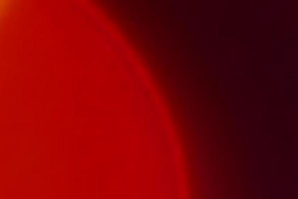 Apex theme site design template sample