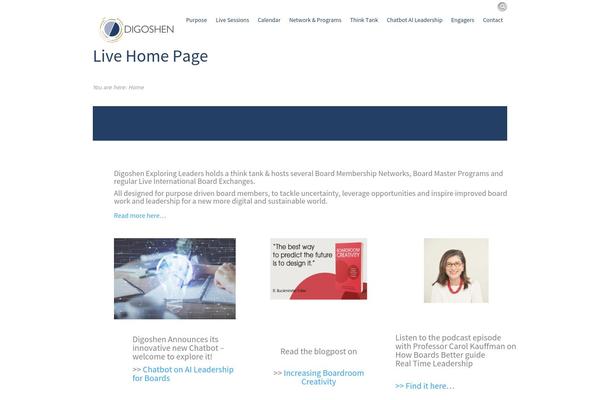 Flare Child theme site design template sample