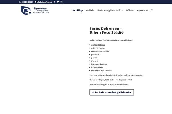 Site using Divi-gallery-extended plugin