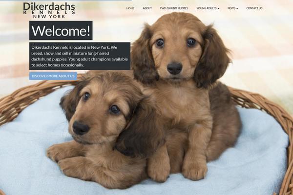 PetCare theme site design template sample