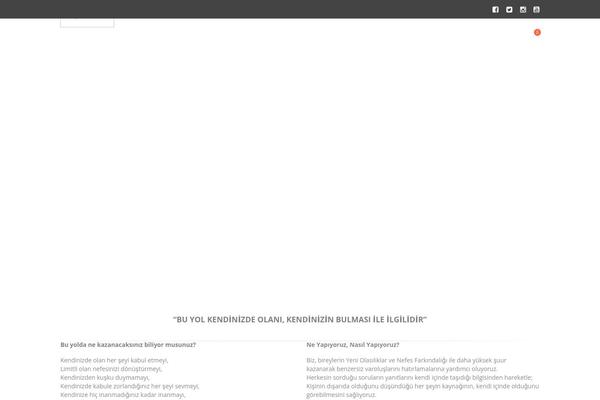 dilekyolu.com site used Healthcoach