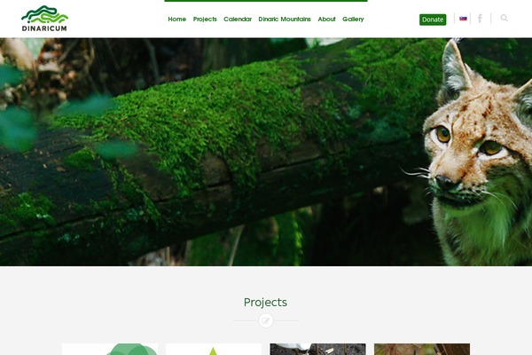 Cambium theme site design template sample
