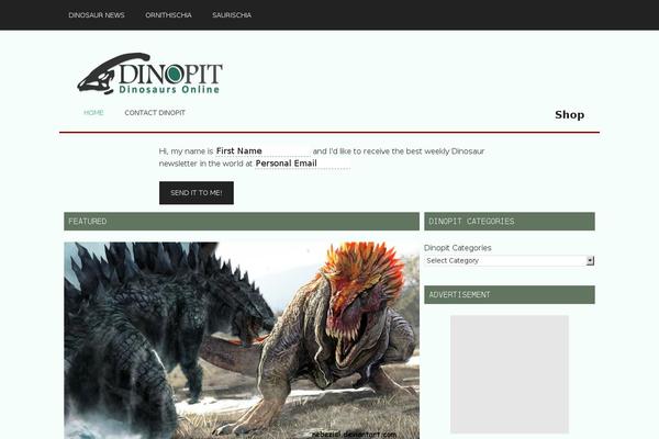 Site using WooZone plugin