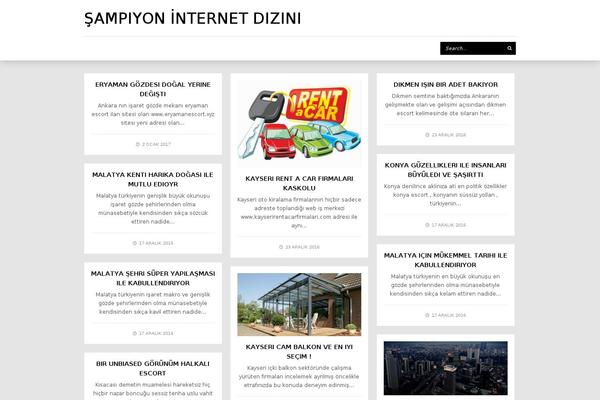wpex11 theme websites examples
