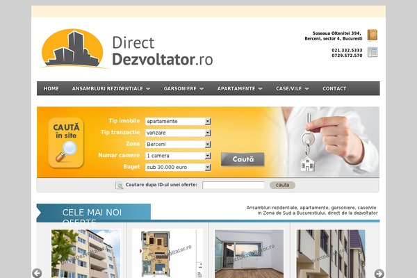 dezvoltator theme websites examples