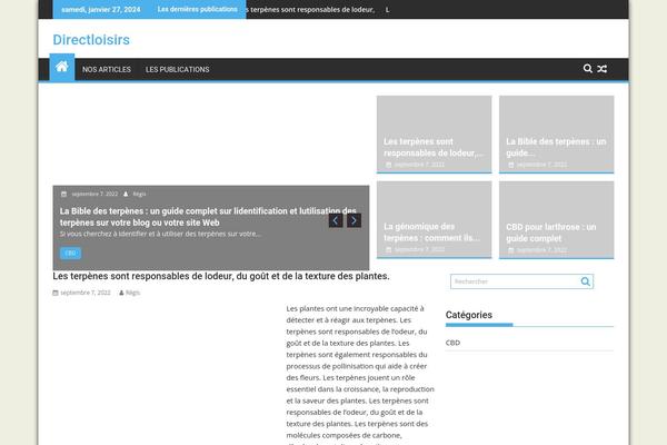 SuperMag theme site design template sample