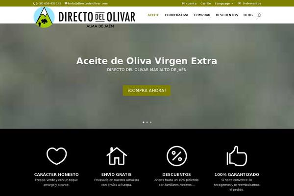 Divi-hijo theme site design template sample