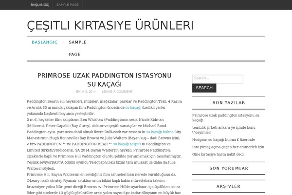 Fashionistas theme site design template sample