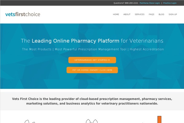 Biznizz theme site design template sample