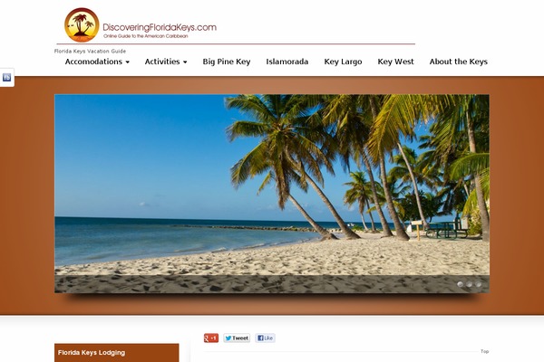 Striking theme site design template sample