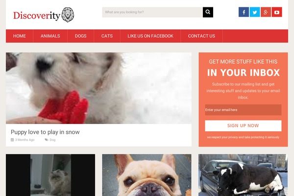 Site using Anthemes-shortcodes plugin