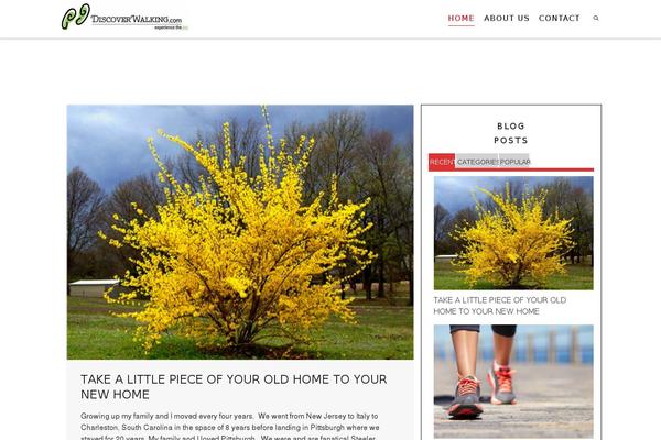 Dante Child Theme theme site design template sample