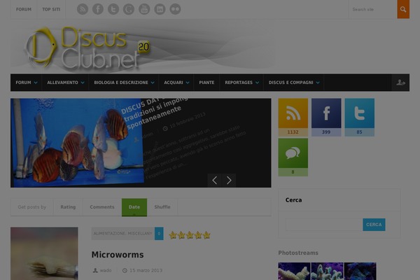 Divi theme site design template sample