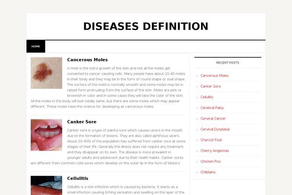 News Pro theme site design template sample