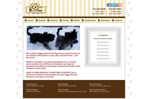 Salient theme site design template sample