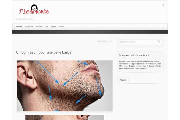 evolve theme site design template sample