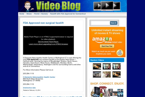 distinctiveads.com site used Wptn-theme