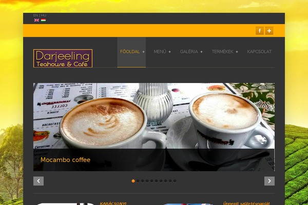 Simplecorp theme site design template sample