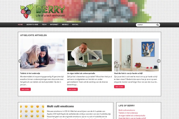ditisberry.nl site used Technologic