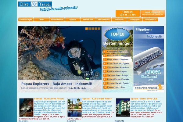 Website theme site design template sample