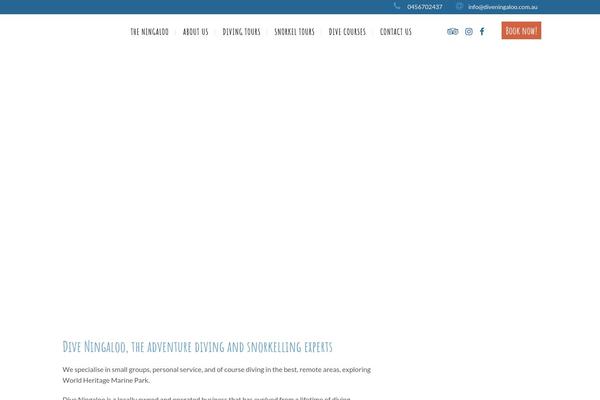 Site using Bridge-core plugin
