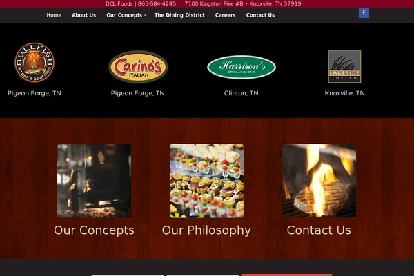DMS theme site design template sample