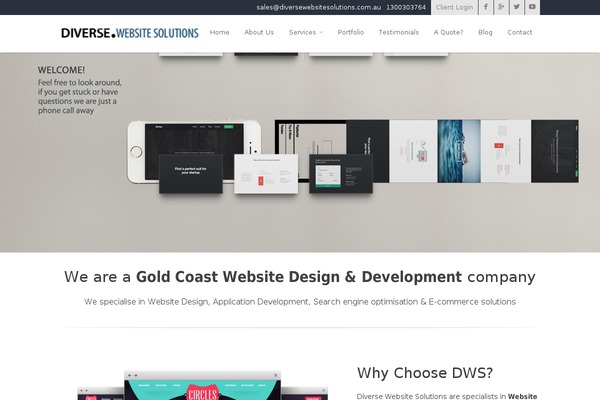 diversewebsitesolutions.com.au site used Oceanwp-child