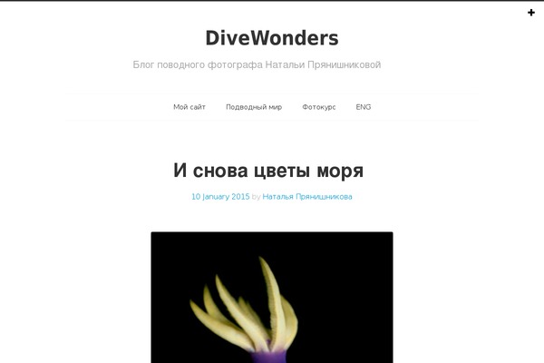 tdSimple theme site design template sample