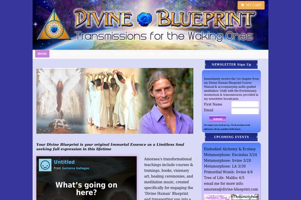 Site using Woocommerce-gateway-paypal-powered-by-braintree plugin