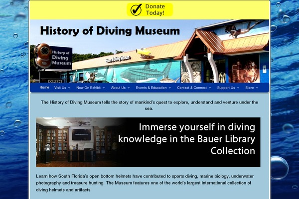 Weaver II pro theme site design template sample