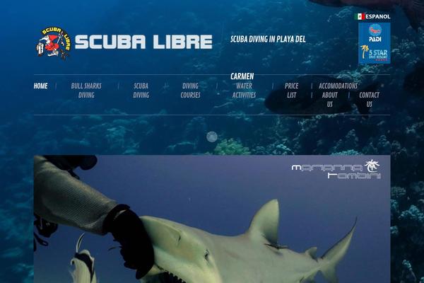 Site using Instagram-feed-pro plugin