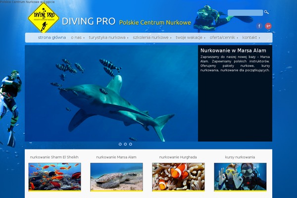 Zenon Lite theme site design template sample
