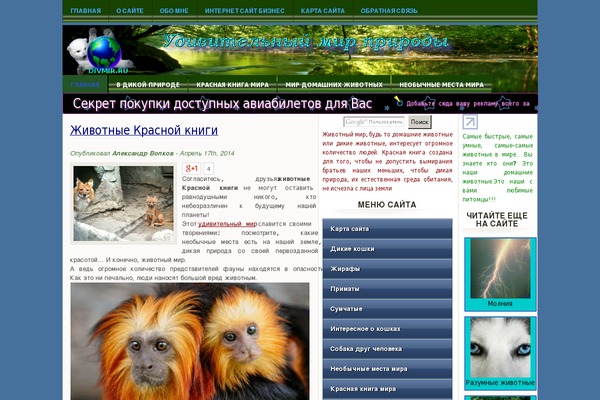 PT Magazine theme site design template sample